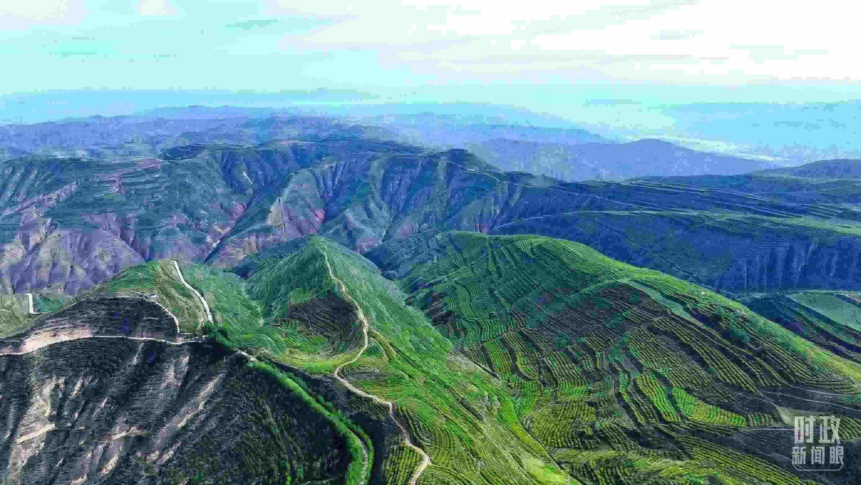 △青海西寧。（總臺記者柳成拍攝）