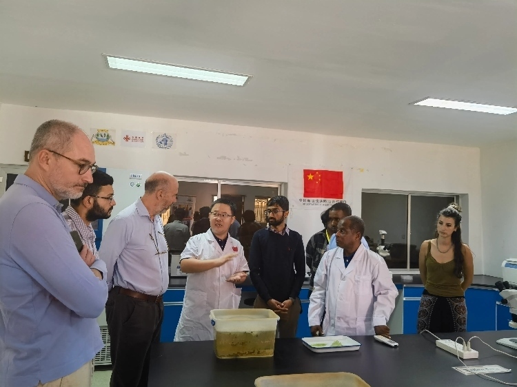 活動現(xiàn)場。專家組供圖