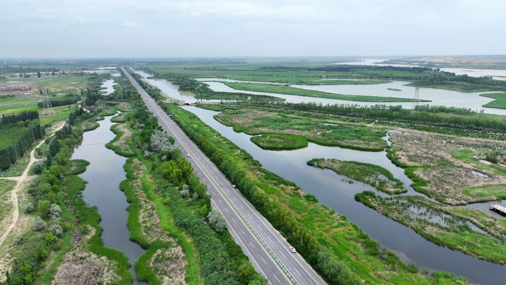 這是2024年6月13日拍攝的黃河寧夏段濱河大道（無人機(jī)照片）。近年來，寧夏努力建設(shè)黃河流域生態(tài)保護(hù)和高質(zhì)量發(fā)展先行區(qū)，全力打好黃河保護(hù)持久戰(zhàn)。新華社記者 王鵬 攝