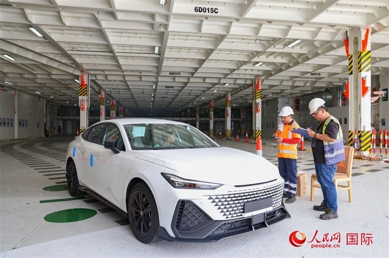 工人正在進(jìn)行卸車作業(yè)。人民網(wǎng)記者 任皓宇攝