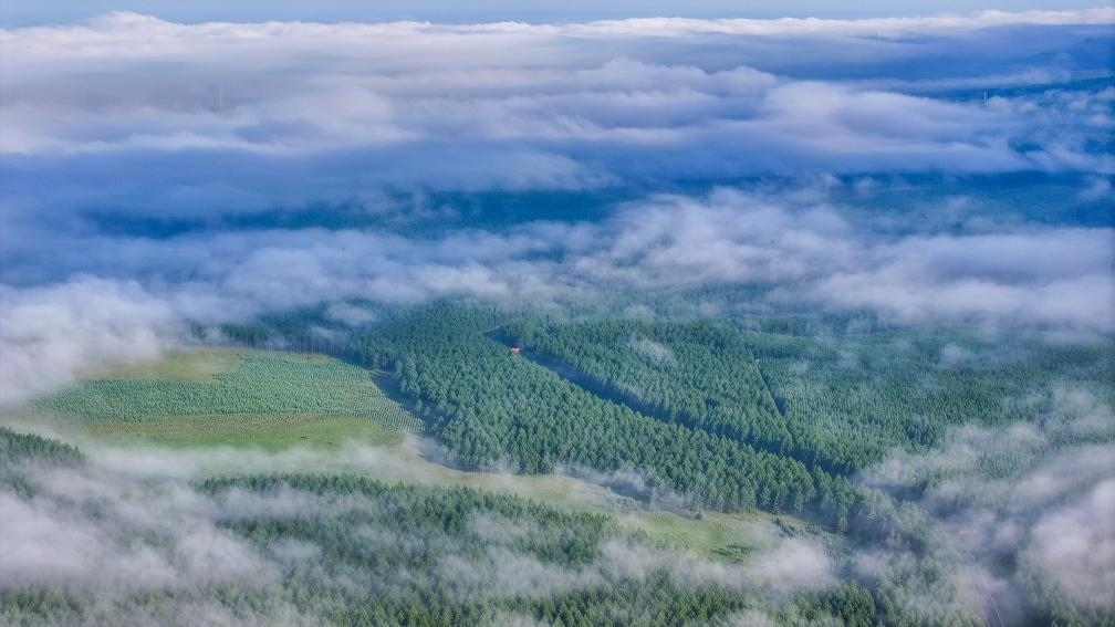 2024年7月26日拍攝的塞罕壩國家級自然保護區(qū)景色。新華社發(fā)（劉滿倉 攝）