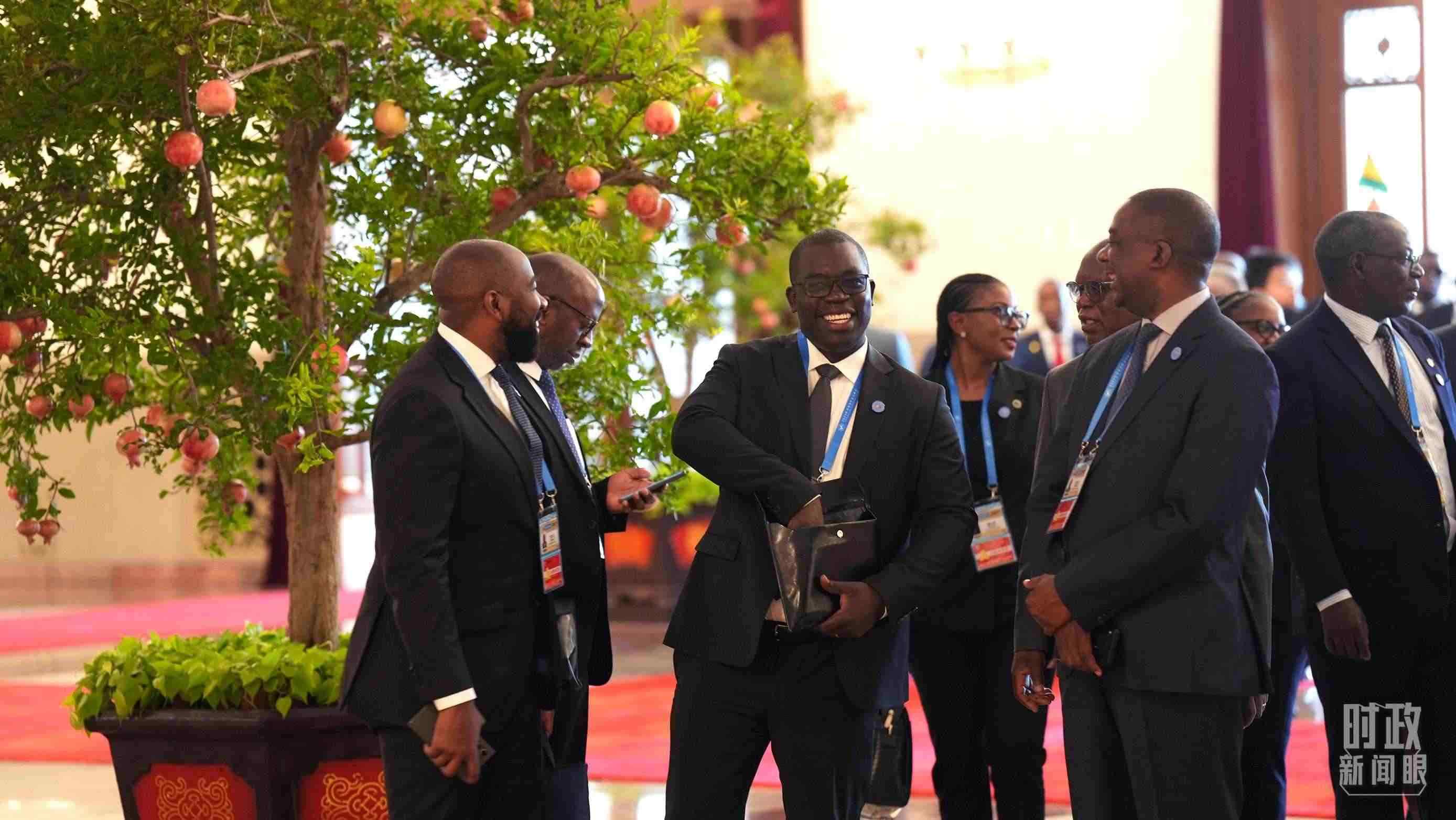 出席中非合作論壇北京峰會(huì)的非洲國家代表。（總臺(tái)記者李晉拍攝）