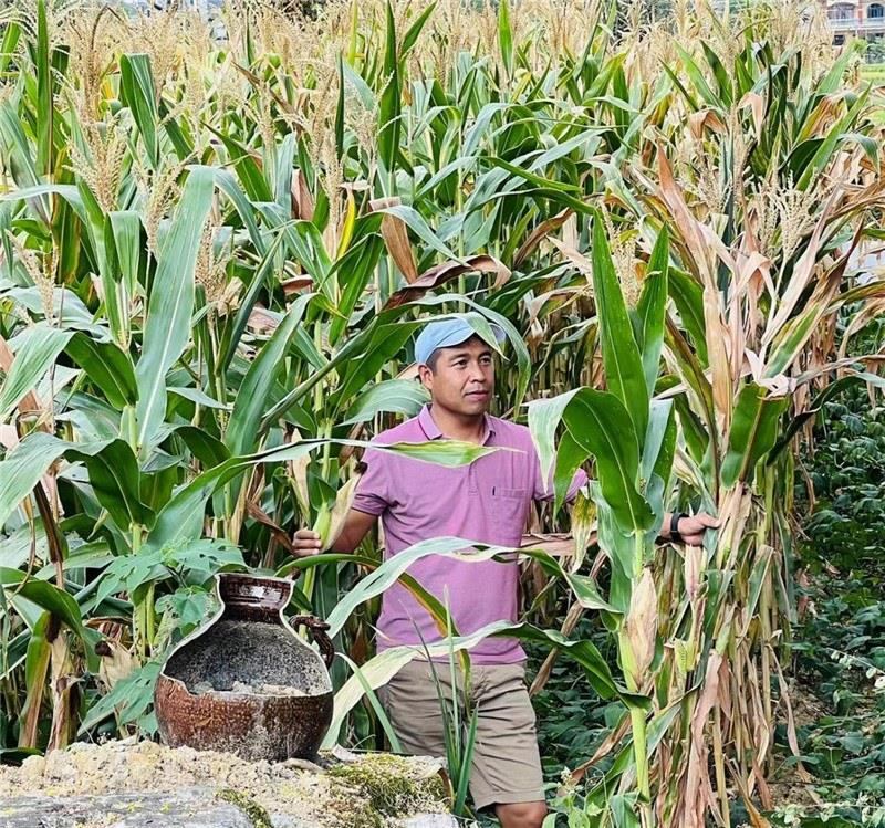 不是攀登石林高臺，就是鉆入玉米莊稼地，吉爾吉斯斯坦《自由之山報(bào)》總編輯納拉雷·阿桑巴耶夫“身手不凡”，與生長旺盛的玉米構(gòu)成了花茂村的鄉(xiāng)間野趣。（張亞欣攝）