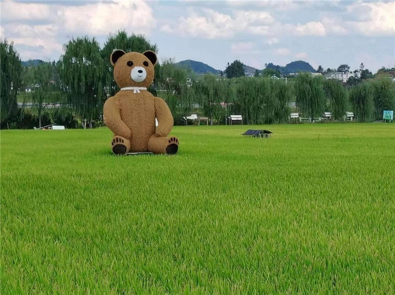 稻穗搖曳，垂柳依依，山嵐多姿，好一幅歲月靜好山鄉(xiāng)恬靜圖。這憨厚俏皮的熊玩偶造型，像是亂入其中，形成現(xiàn)代與傳統(tǒng)、好動與寧靜的反差感，讓人過目不忘，也讓人莞爾一笑。（哈薩克斯坦鳳凰24新聞社總編輯兼首席執(zhí)行官克馬爾·馬山羅攝）