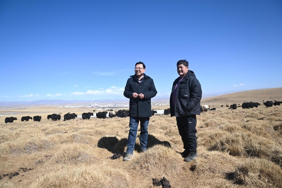 2023年2月24日，在青海省海北藏族自治州海晏縣青海湖鄉(xiāng)達(dá)玉日秀村，全國(guó)人大代表董全民（左）查看牧民東知布家的草場(chǎng)。新華社記者 張龍 攝