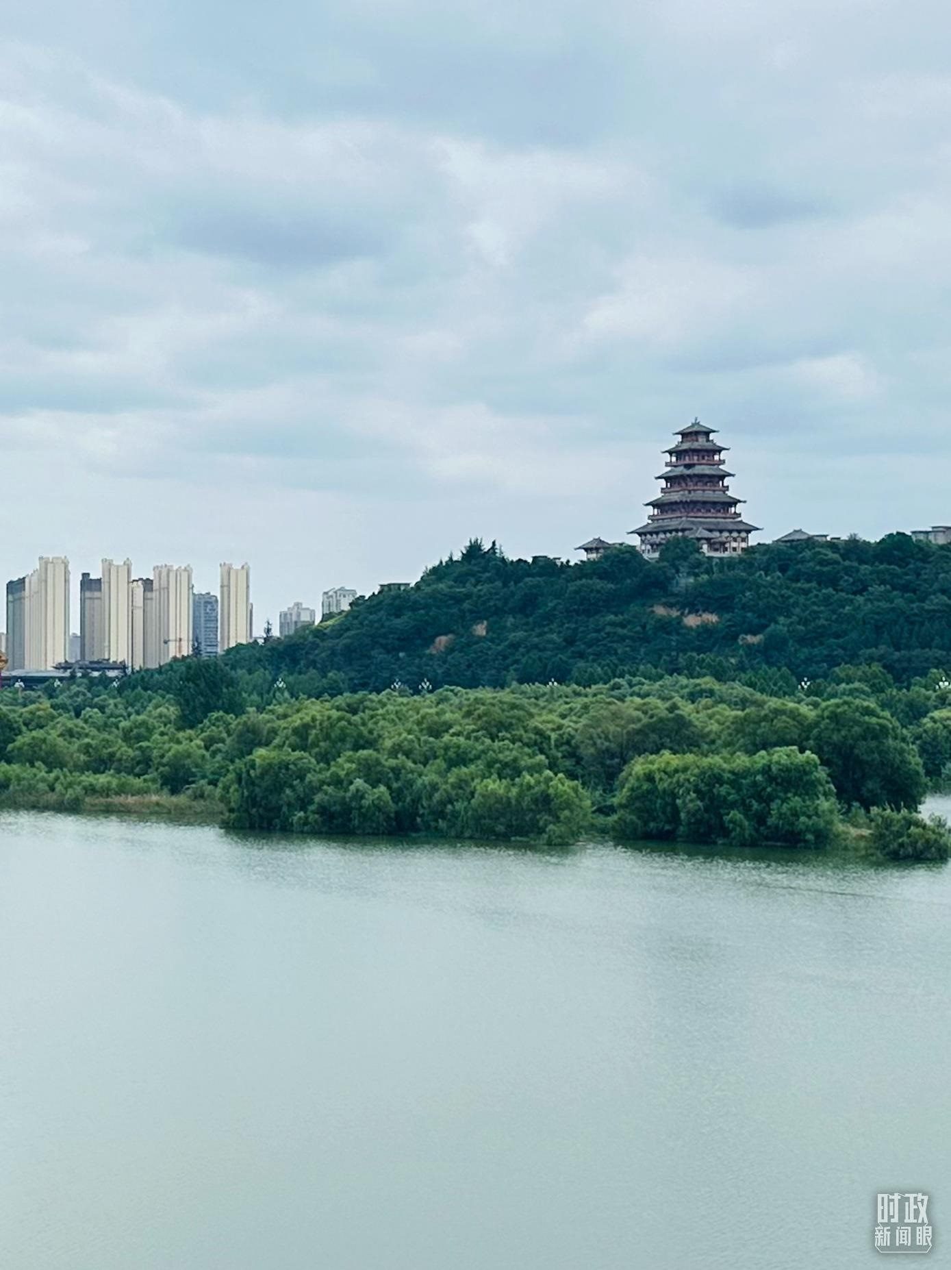 △渭河寶雞段長(zhǎng)224公里，目前建成17處渭河灘區(qū)生態(tài)涵養(yǎng)區(qū)。（總臺(tái)央視記者范一鳴拍攝）