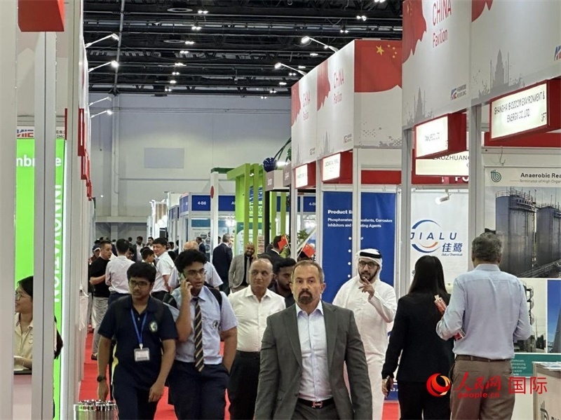 中國(guó)館一角。人民網(wǎng)記者管克江攝