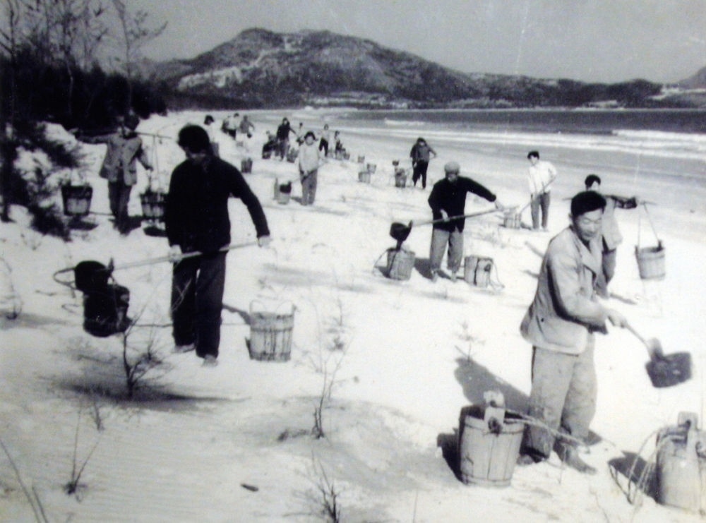 上世紀(jì)東山百姓在沙灘造林（資料照片）。