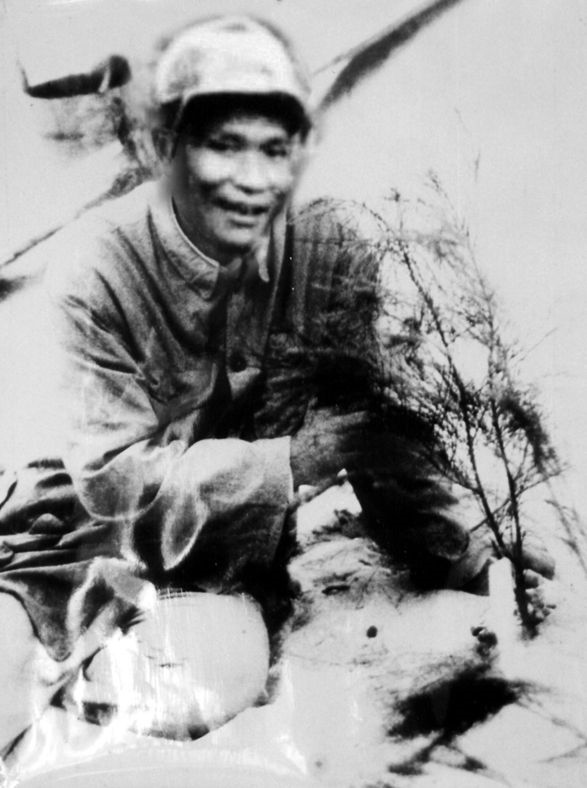 谷文昌與試種成活的木麻黃（資料照片）。為了治沙，谷文昌爬遍了東山縣400多個(gè)山頭，踏遍了30多公里的沙灘，終于帶領(lǐng)東山人民試種木麻黃成功。