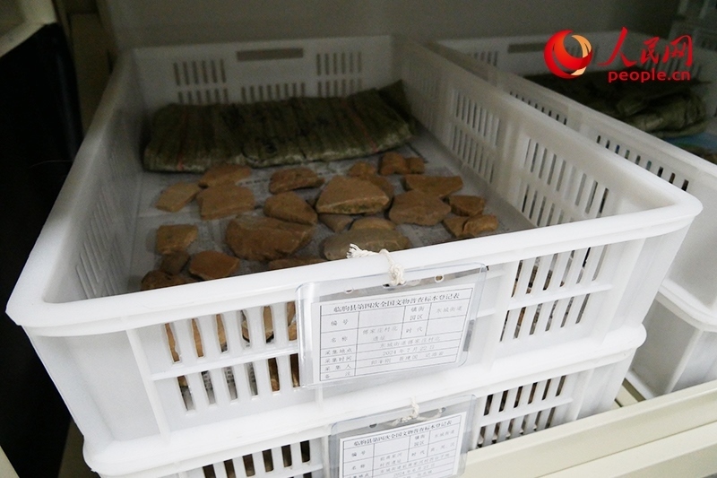 已經(jīng)整理完畢的文物標(biāo)本。人民網(wǎng)記者 韋衍行攝