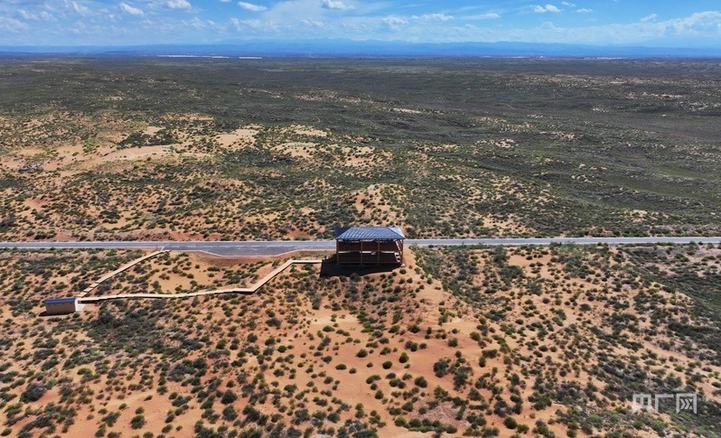 古浪縣一代代人治沙不息，讓綠色向沙漠深處不斷延伸（央廣網(wǎng)記者 李紅軍 攝）