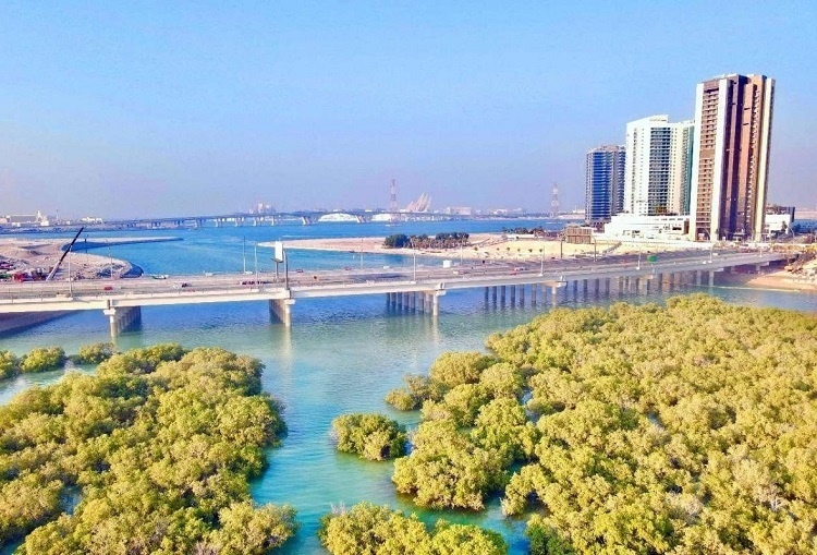 圖為瑞姆橋施工現(xiàn)場(chǎng)。中國(guó)土木供圖