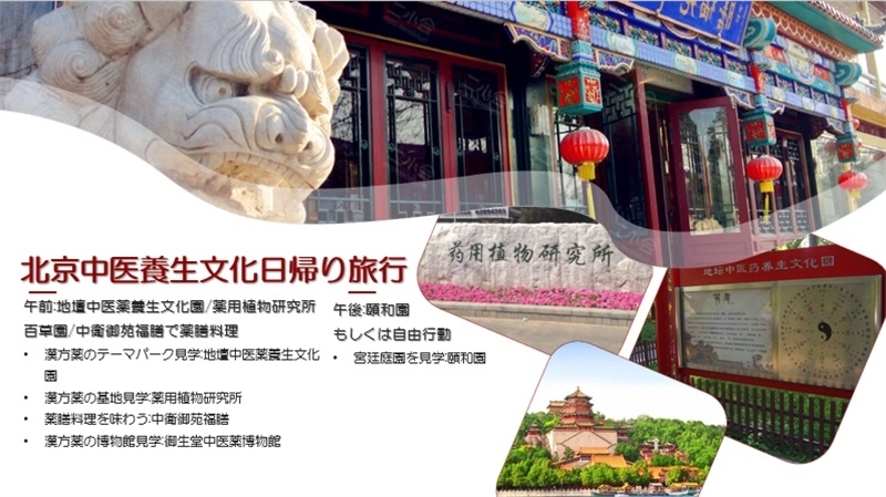 “你好！中國·休閑旅游—中國旅游說明會”宣講材料。中國駐東京旅游辦事處供圖