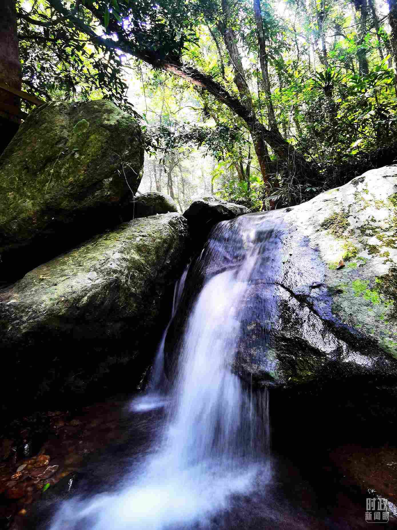 海南五指山。（總臺央視記者劉琦拍攝）
