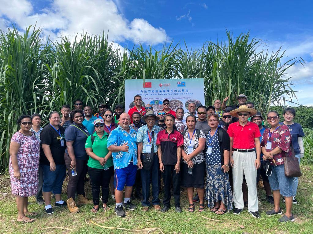 2024年2月28日，來自巴布亞新幾內(nèi)亞、湯加、庫克群島、薩摩亞、瑙魯?shù)葒业摹疤窖髰u國菌草技術(shù)培訓(xùn)班”學(xué)員在斐濟布拉阿格魯菌草技術(shù)示范基地合影。新華社發(fā)（中國援斐濟菌草技術(shù)示范中心供圖）