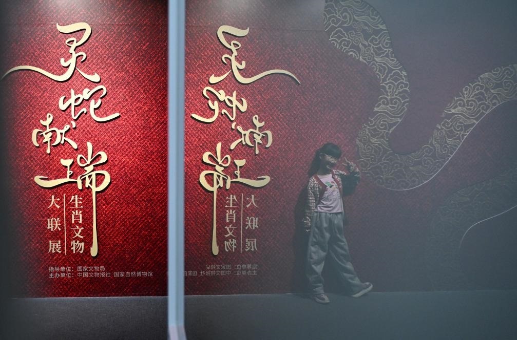 1月18日，一名小朋友在國家自然博物館舉辦的“靈蛇獻瑞——2025乙巳蛇年生肖文物大聯(lián)展”展覽中拍照留念。（新華社記者 陳鐘昊 攝）