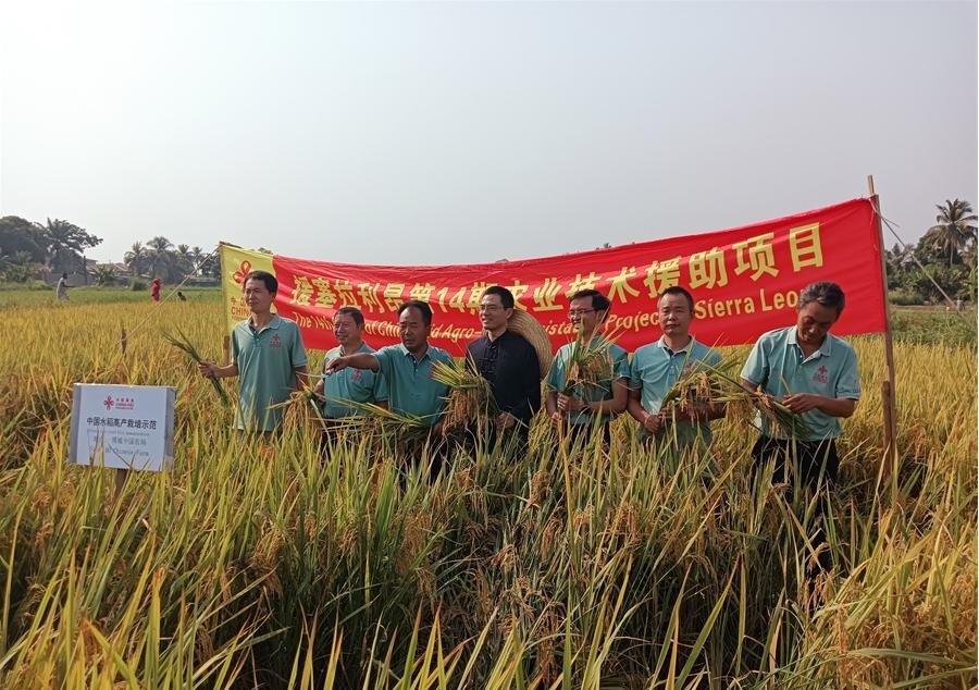 中國(guó)駐塞拉利昂大使王擎和援塞農(nóng)業(yè)專家組合影。中國(guó)援塞農(nóng)業(yè)專家組供圖