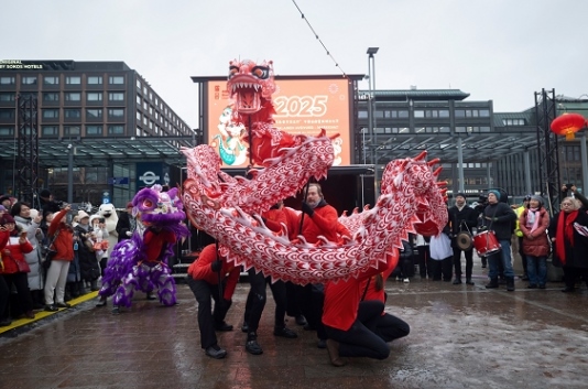 舞龍、舞獅表演。中國駐芬蘭大使館供圖