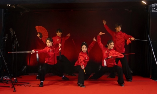 武術(shù)表演。中國駐芬蘭大使館供圖