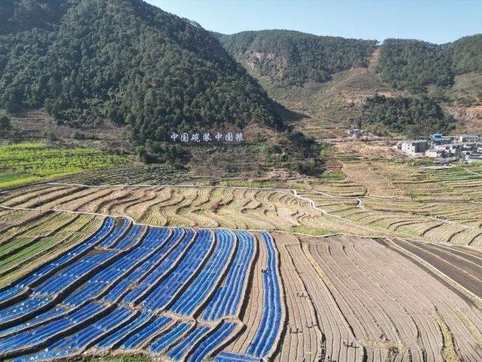 △近日，四川涼山一現(xiàn)代農(nóng)業(yè)園春耕育秧搶農(nóng)時。