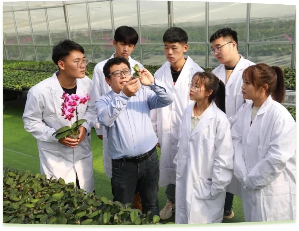 濰坊工程職業(yè)學(xué)院科技創(chuàng)新團(tuán)隊(duì)為花卉行業(yè)從業(yè)者作蝴蝶蘭雜交選育技術(shù)指導(dǎo)。學(xué)校供圖