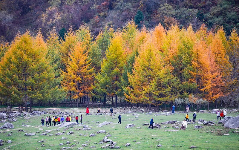 2023年10月27日，深秋時(shí)節(jié)的陜西秦嶺太子嶺五彩斑斕，進(jìn)入最佳觀賞期。