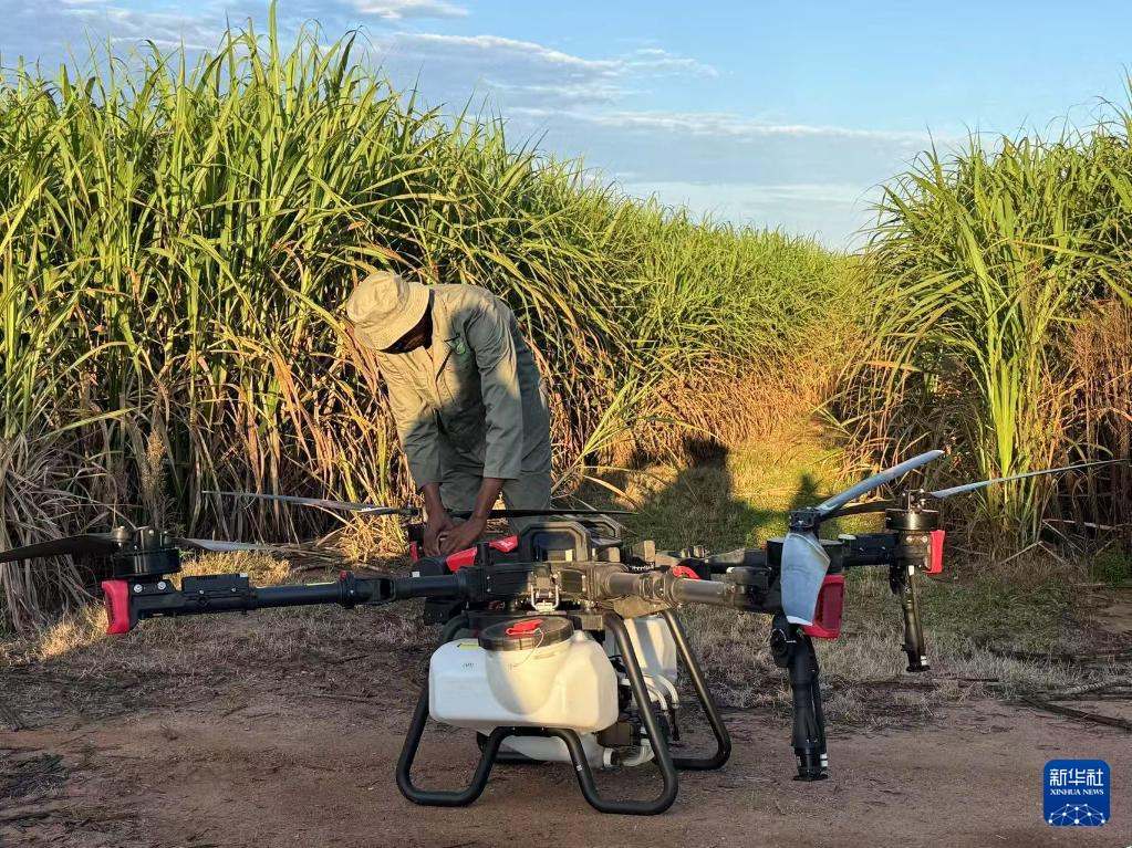 3月25日，在南非夸祖魯-納塔爾省的方廷希爾莊園，工作人員為無(wú)人機(jī)做起飛作業(yè)前的準(zhǔn)備。新華社記者 白舸 攝