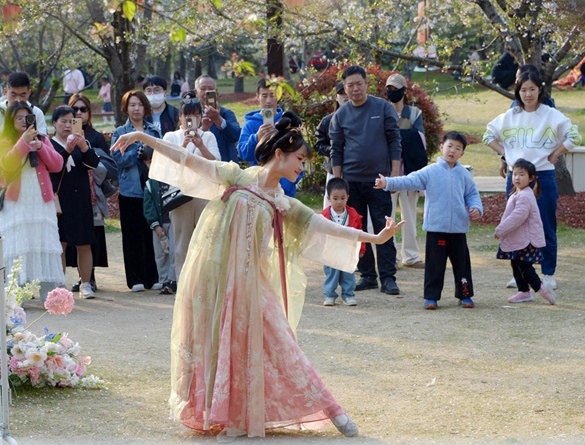 清明假期期間，上海顧村公園櫻花島上，游客在觀賞國風漢服快閃表演。（圖片來源：視覺中國）