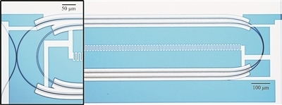 微波光量子傳感器的光學顯微照片。圖片來源：美國哈佛大學