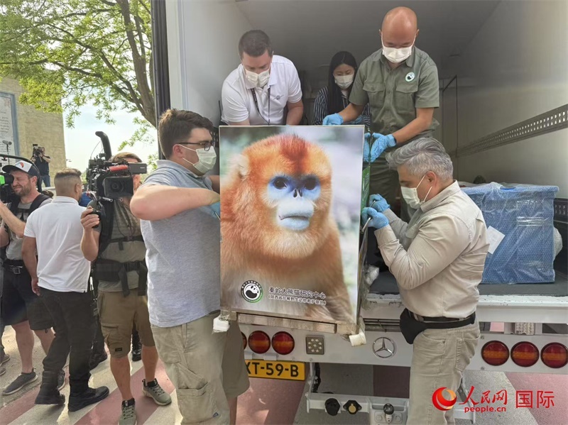 圖為活動現(xiàn)場。人民網(wǎng)記者 牛瑞飛攝