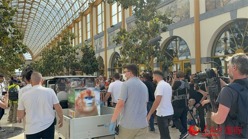 圖為活動現(xiàn)場。人民網(wǎng)記者 牛瑞飛攝