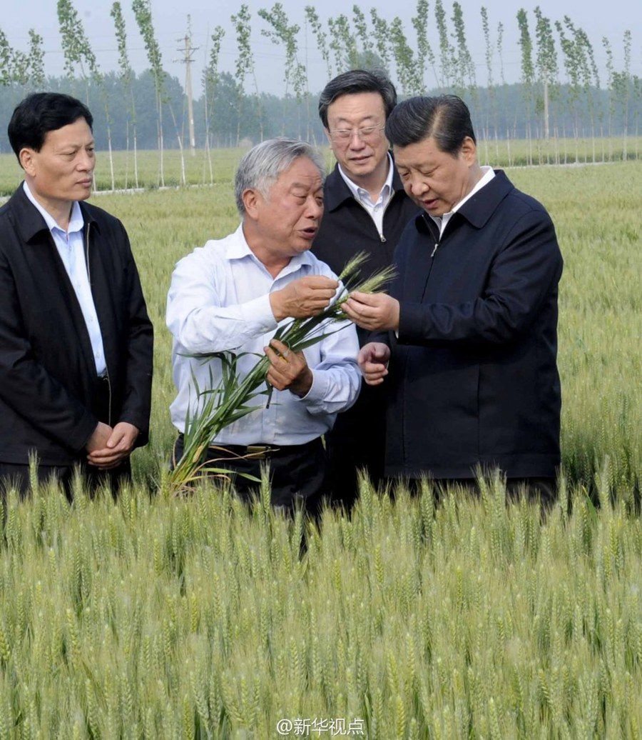 2014年5月，習(xí)近平總書記在河南省尉氏縣張市鎮(zhèn)高標(biāo)準(zhǔn)糧田察看小麥長勢。