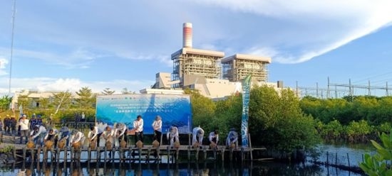 5月18日，中印尼嘉賓在爪哇7號(hào)燃煤電站舉行紅樹林補(bǔ)植儀式。記者 曹凱 攝