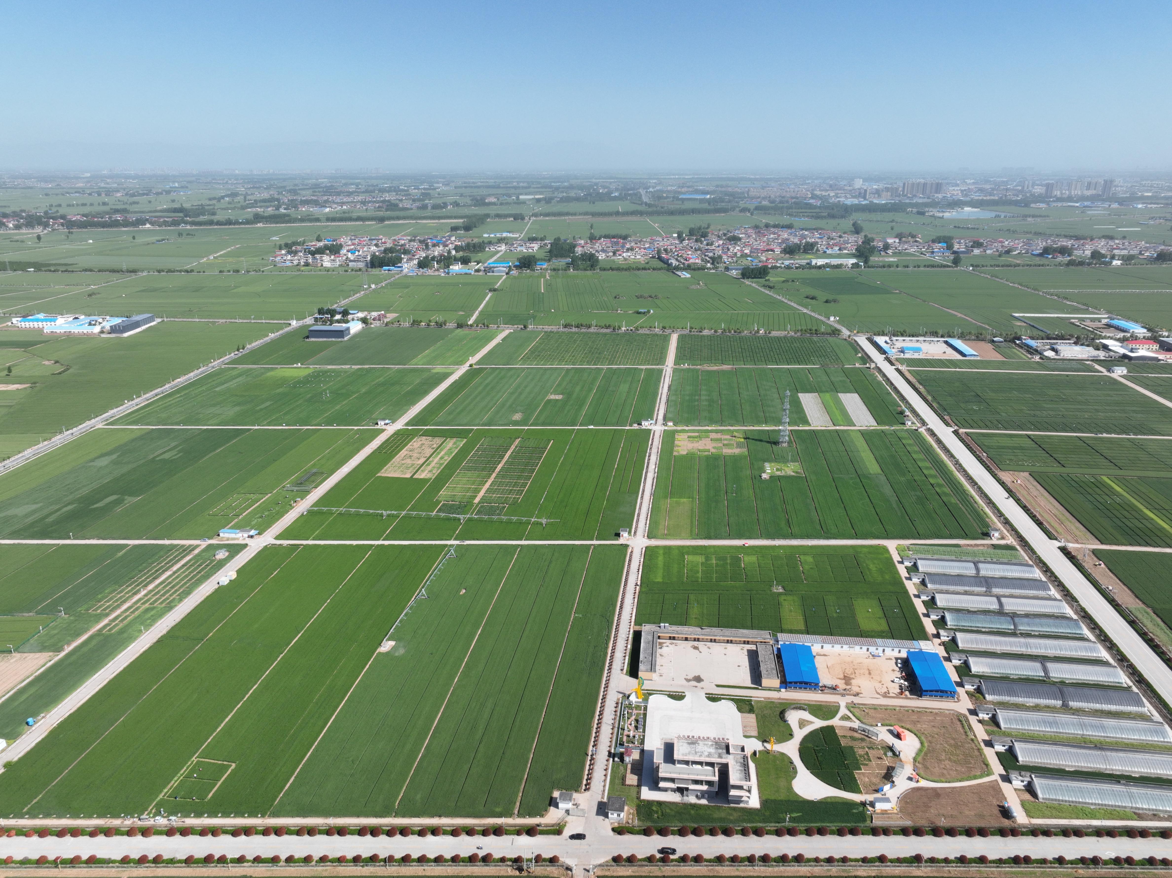 俯瞰水利部灌溉試驗總站試驗研究基地。受訪者供圖